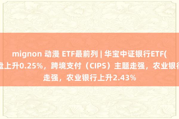 mignon 动漫 ETF最前列 | 华宝中证银行ETF(512800)早盘上升0.25%，跨境支付（CIPS）主题走强，农业银行上升2.43%