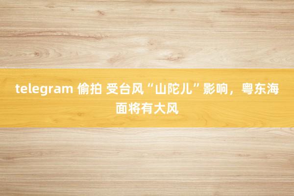 telegram 偷拍 受台风“山陀儿”影响，粤东海面将有大风