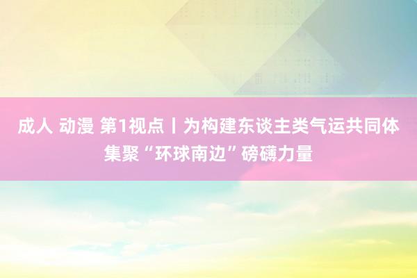 成人 动漫 第1视点丨为构建东谈主类气运共同体集聚“环球南边”磅礴力量