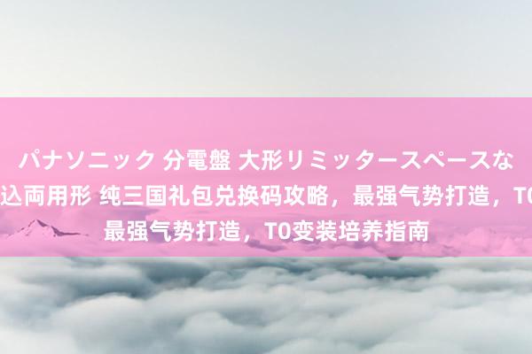 パナソニック 分電盤 大形リミッタースペースなし 露出・半埋込両用形 纯三国礼包兑换码攻略，最强气势打造，T0变装培养指南