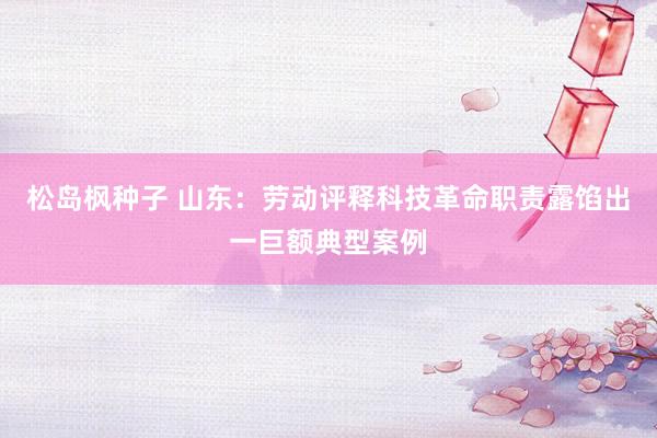 松岛枫种子 山东：劳动评释科技革命职责露馅出一巨额典型案例