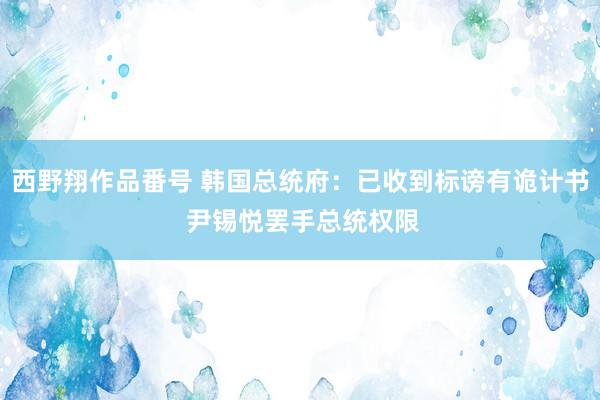 西野翔作品番号 韩国总统府：已收到标谤有诡计书 尹锡悦罢手总统权限