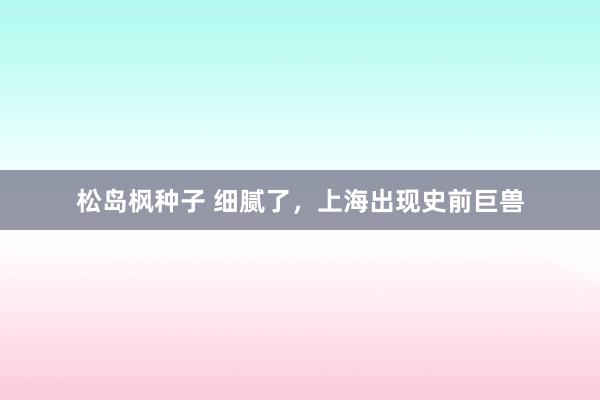 松岛枫种子 细腻了，上海出现史前巨兽