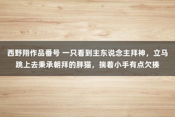 西野翔作品番号 一只看到主东说念主拜神，立马跳上去秉承朝拜的胖猫，揣着小手有点欠揍