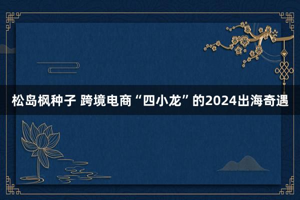 松岛枫种子 跨境电商“四小龙”的2024出海奇遇