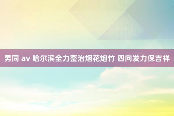 男同 av 哈尔滨全力整治烟花炮竹 四向发力保吉祥