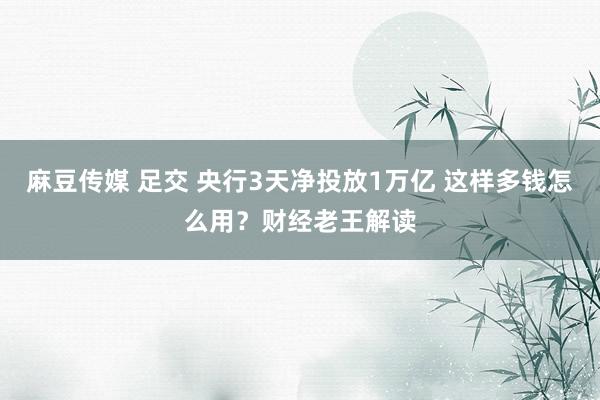 麻豆传媒 足交 央行3天净投放1万亿 这样多钱怎么用？财经老王解读
