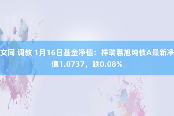 女同 调教 1月16日基金净值：祥瑞惠旭纯债A最新净值1.0737，跌0.08%