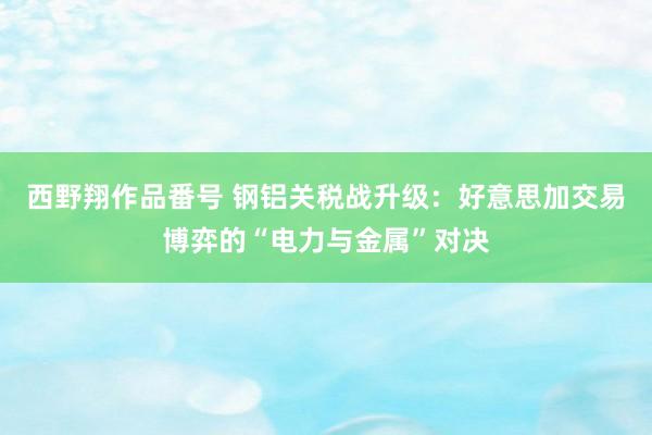 西野翔作品番号 钢铝关税战升级：好意思加交易博弈的“电力与金属”对决