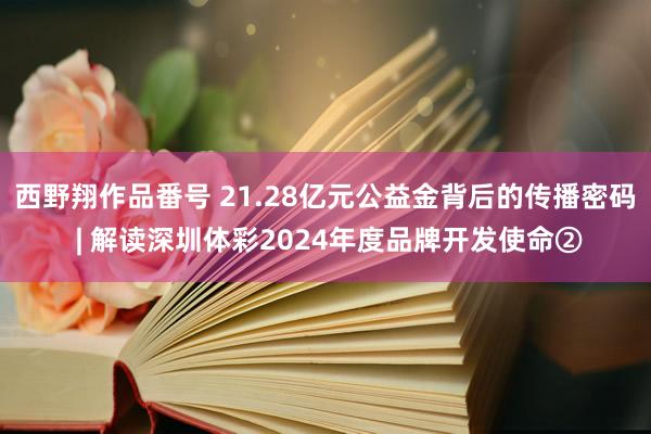 西野翔作品番号 21.28亿元公益金背后的传播密码 | 解读深圳体彩2024年度品牌开发使命②