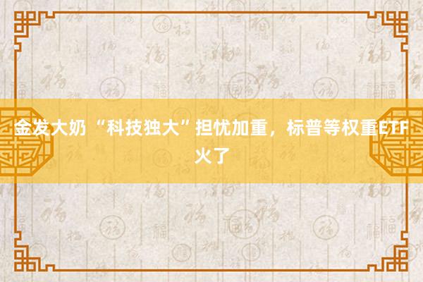金发大奶 “科技独大”担忧加重，标普等权重ETF火了
