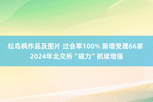 松岛枫作品及图片 过会率100% 新增受理66家 2024年北交所“磁力”抓续增强