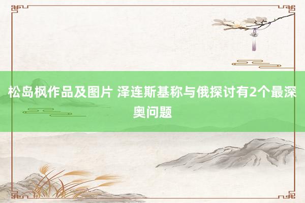 松岛枫作品及图片 泽连斯基称与俄探讨有2个最深奥问题
