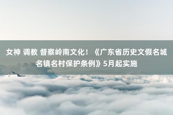 女神 调教 督察岭南文化！《广东省历史文假名城名镇名村保护条例》5月起实施