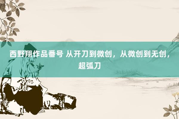 西野翔作品番号 从开刀到微创，从微创到无创，超弧刀