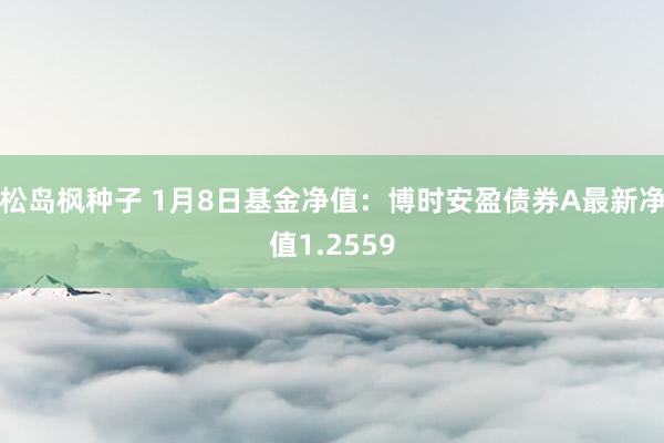 松岛枫种子 1月8日基金净值：博时安盈债券A最新净值1.2559