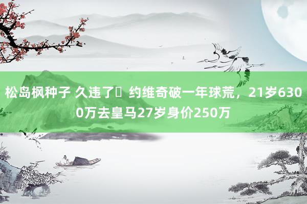 松岛枫种子 久违了❗约维奇破一年球荒，21岁6300万去皇马27岁身价250万