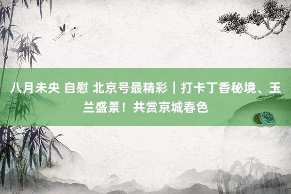 八月未央 自慰 北京号最精彩｜打卡丁香秘境、玉兰盛景！共赏京城春色
