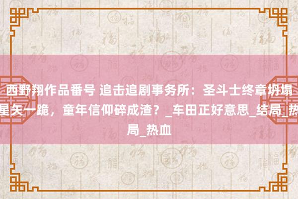 西野翔作品番号 追击追剧事务所：圣斗士终章坍塌！星矢一跪，童年信仰碎成渣？_车田正好意思_结局_热血