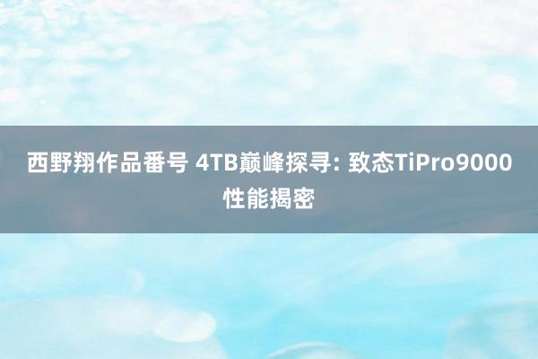 西野翔作品番号 4TB巅峰探寻: 致态TiPro9000性能揭密