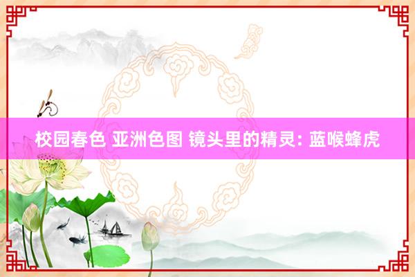 校园春色 亚洲色图 镜头里的精灵: 蓝喉蜂虎