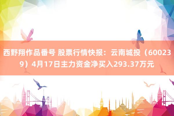 西野翔作品番号 股票行情快报：云南城投（600239）4月17日主力资金净买入293.37万元