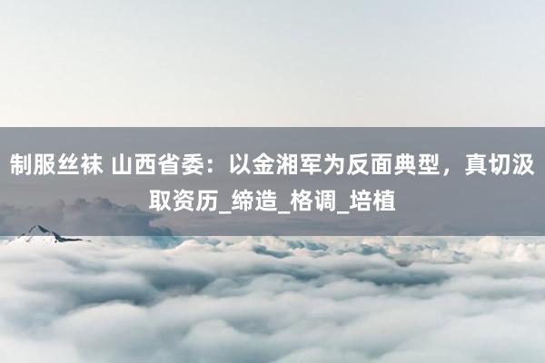 制服丝袜 山西省委：以金湘军为反面典型，真切汲取资历_缔造_格调_培植