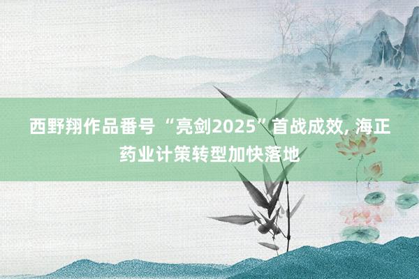 西野翔作品番号 “亮剑2025”首战成效， 海正药业计策转型加快落地