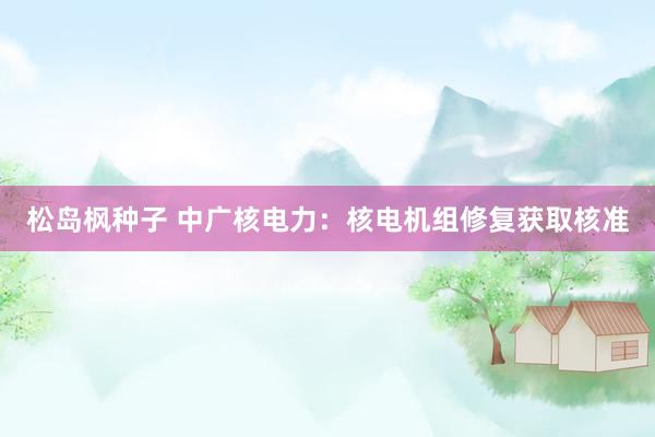 松岛枫种子 中广核电力：核电机组修复获取核准